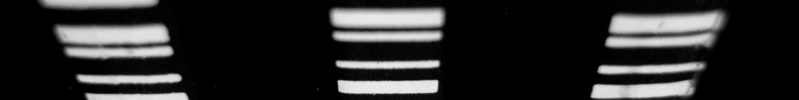david pl 615081 unsplash v2